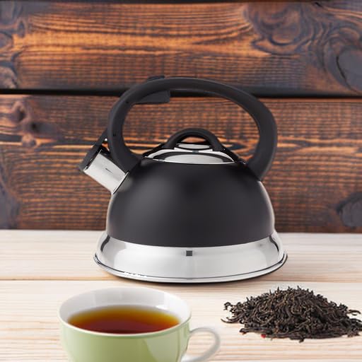 Mr. Coffee Flintshire 1.75-Quart Stainless Steel Whistling Tea Kettle, Matte Black