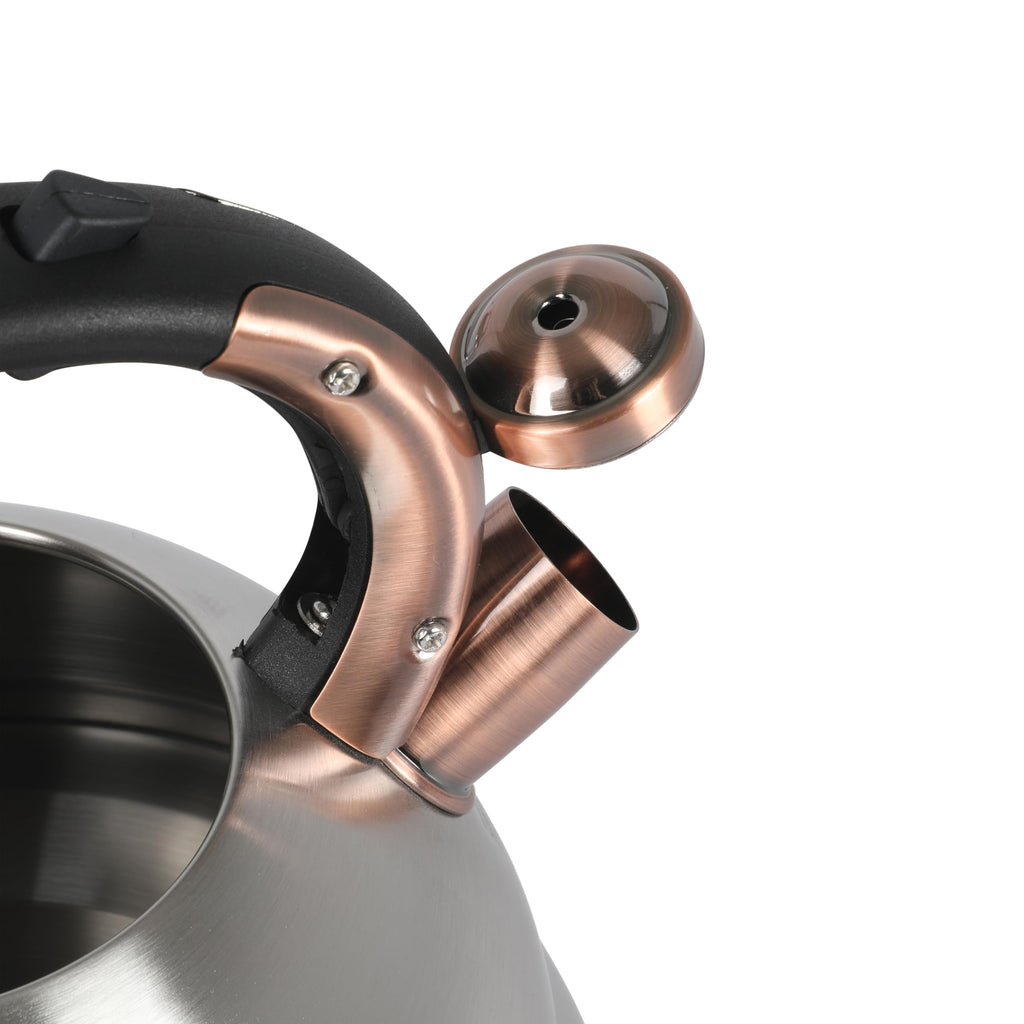 Mr. Coffee Flintshire 2.2-Quart Stainless Steel Whistling Stovetop Tea Kettle with Nylon Handle - Silver