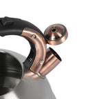 Mr. Coffee Flintshire 2.2-Quart Stainless Steel Whistling Stovetop Tea Kettle with Nylon Handle - Silver
