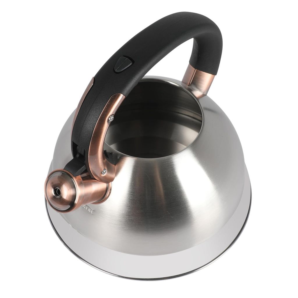 Mr. Coffee Flintshire 2.2-Quart Stainless Steel Whistling Stovetop Tea Kettle with Nylon Handle - Silver