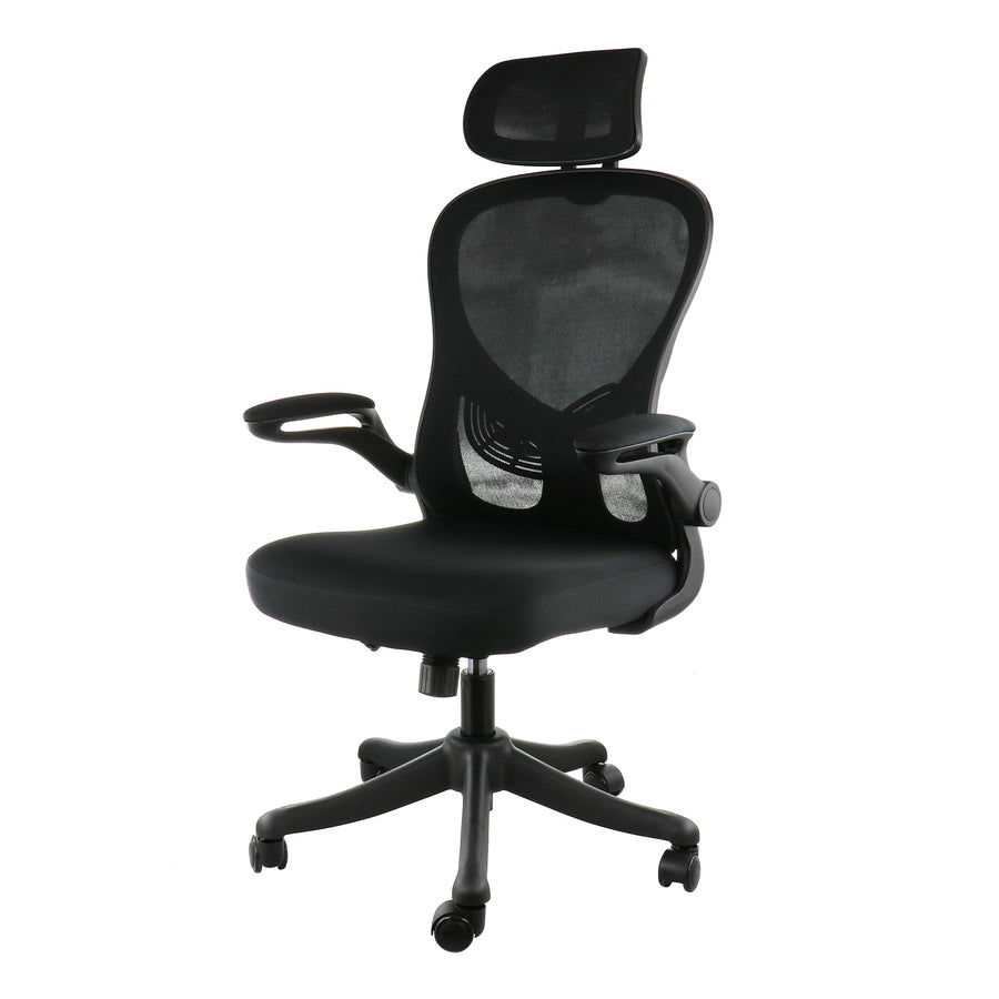 Elama ergonomic high back mesh office chair with adjustable lumbar, headrest and flip-up arms, black and gray, front three-quarter view