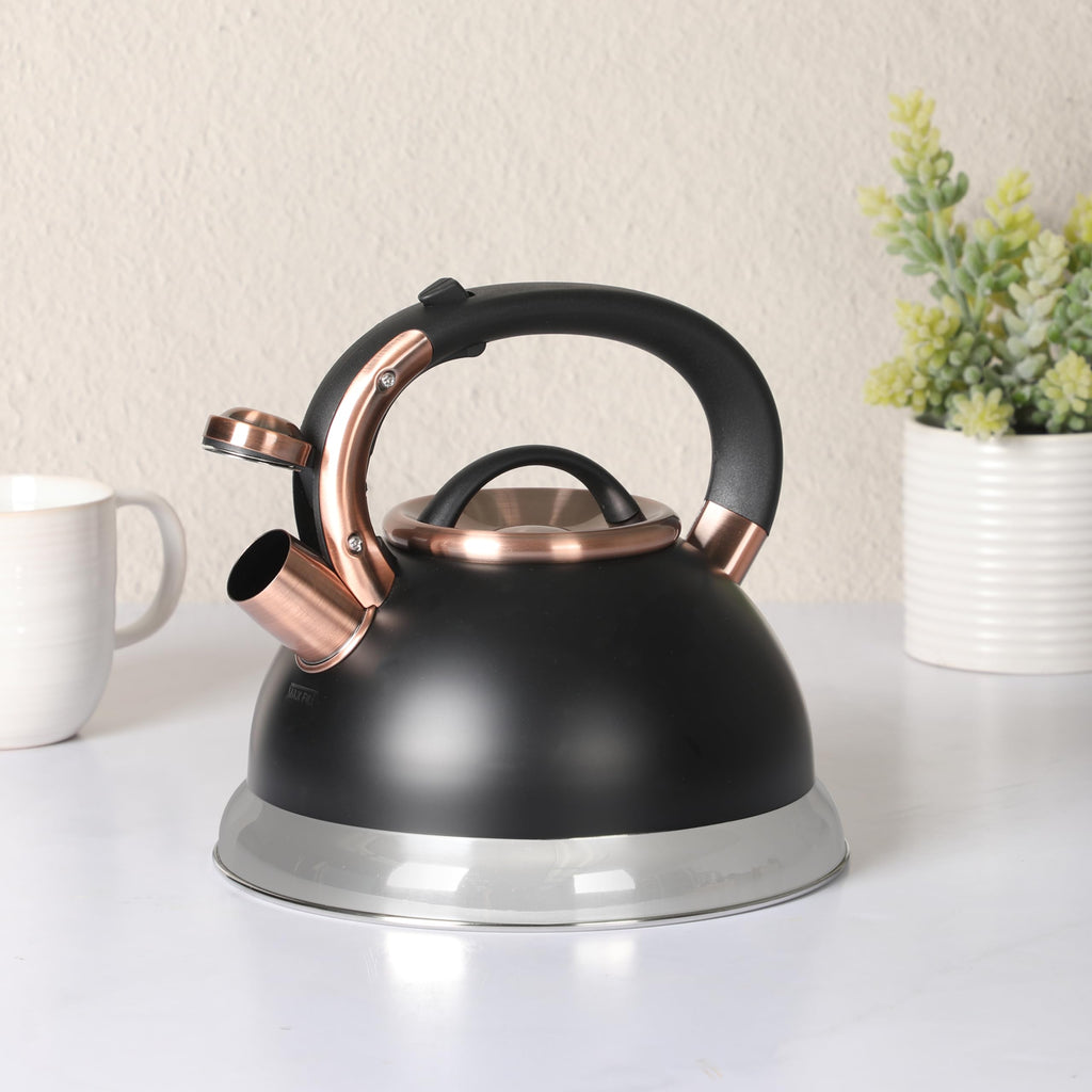 Mr. Coffee Flintshire 2.2-Quart Stainless Steel Whistling Stovetop Tea Kettle with Nylon Handle - Silver