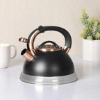Mr. Coffee Flintshire 2.2-Quart Stainless Steel Whistling Stovetop Tea Kettle with Nylon Handle - Silver