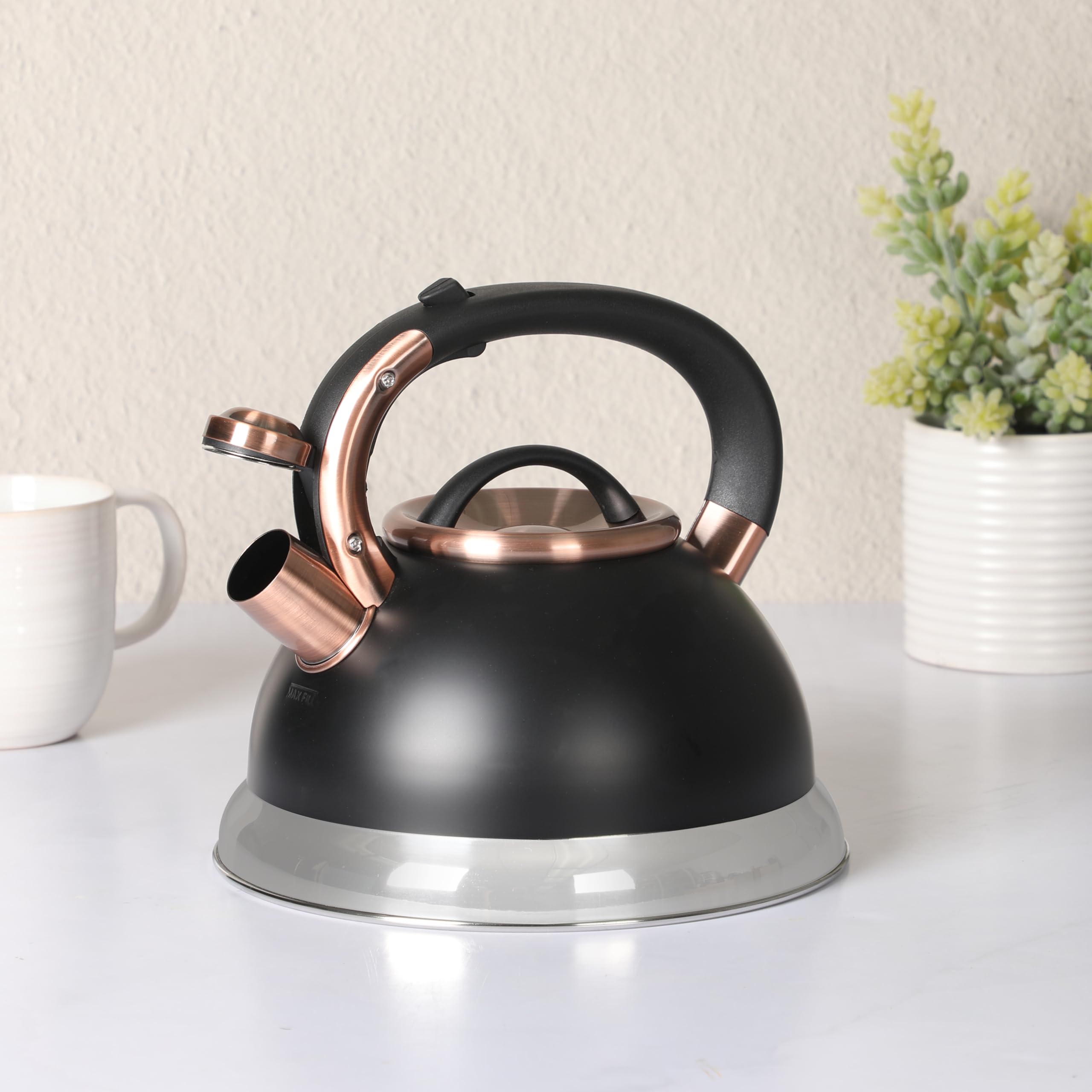 Mr. Coffee Flintshire 2.2-Quart Stainless Steel Whistling Stovetop Tea Kettle with Nylon Handle - Silver