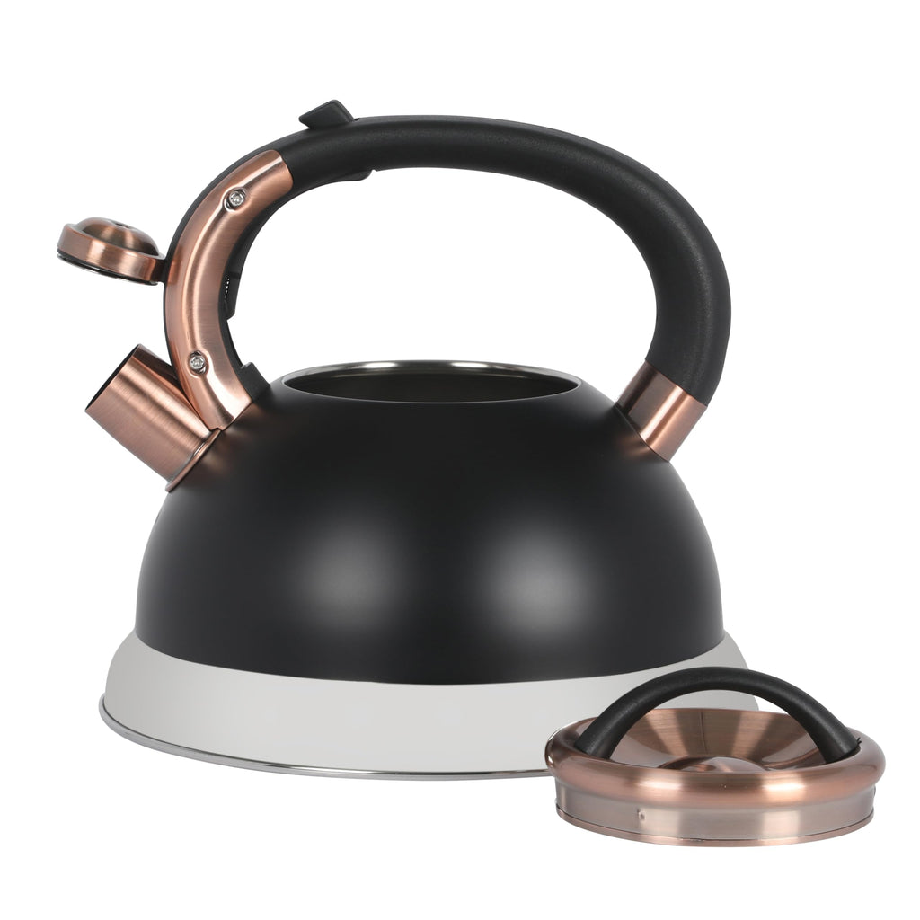 Mr. Coffee Flintshire 2.2-Quart Stainless Steel Whistling Stovetop Tea Kettle with Nylon Handle - Silver