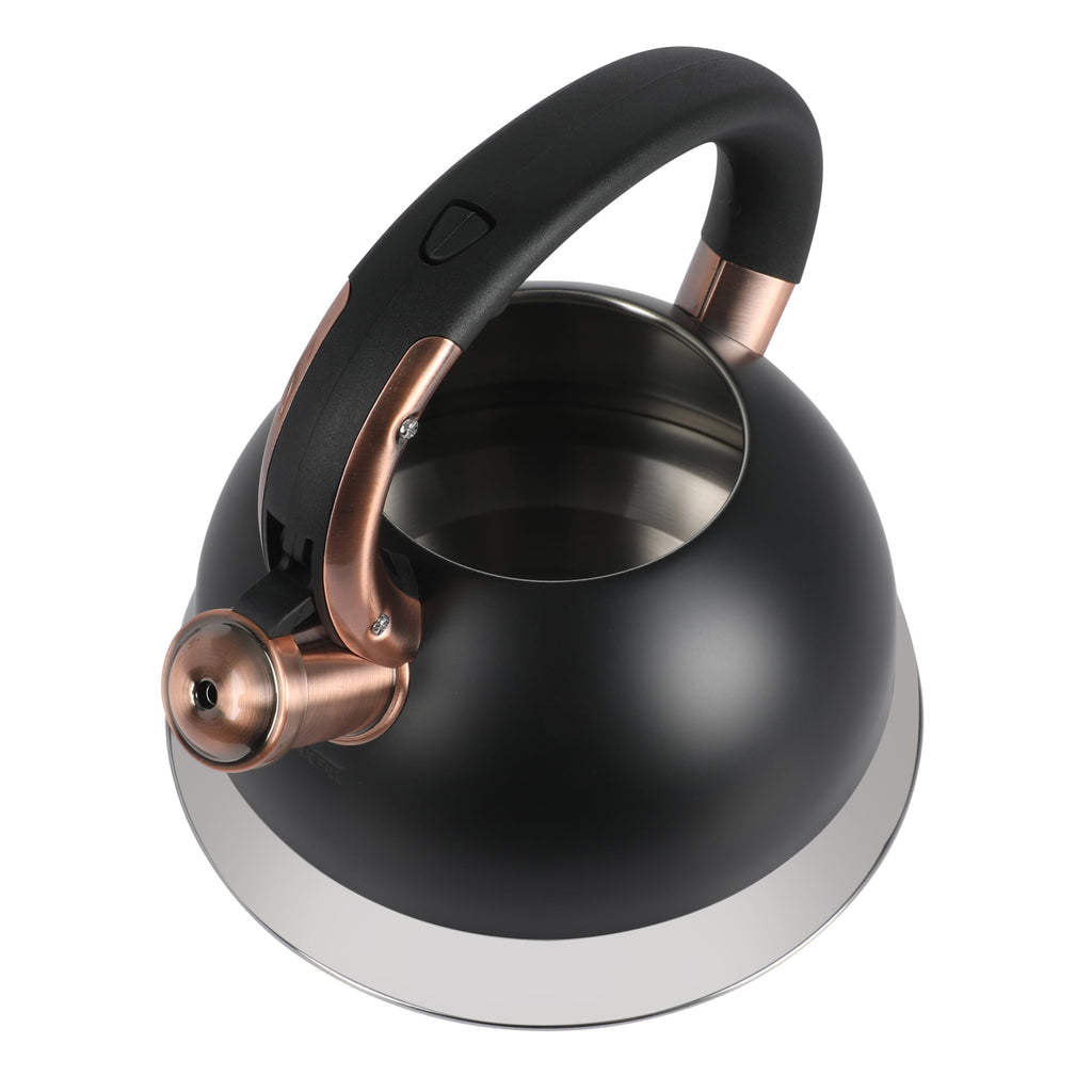 Mr. Coffee Flintshire 2.2-Quart Stainless Steel Whistling Stovetop Tea Kettle with Nylon Handle - Silver