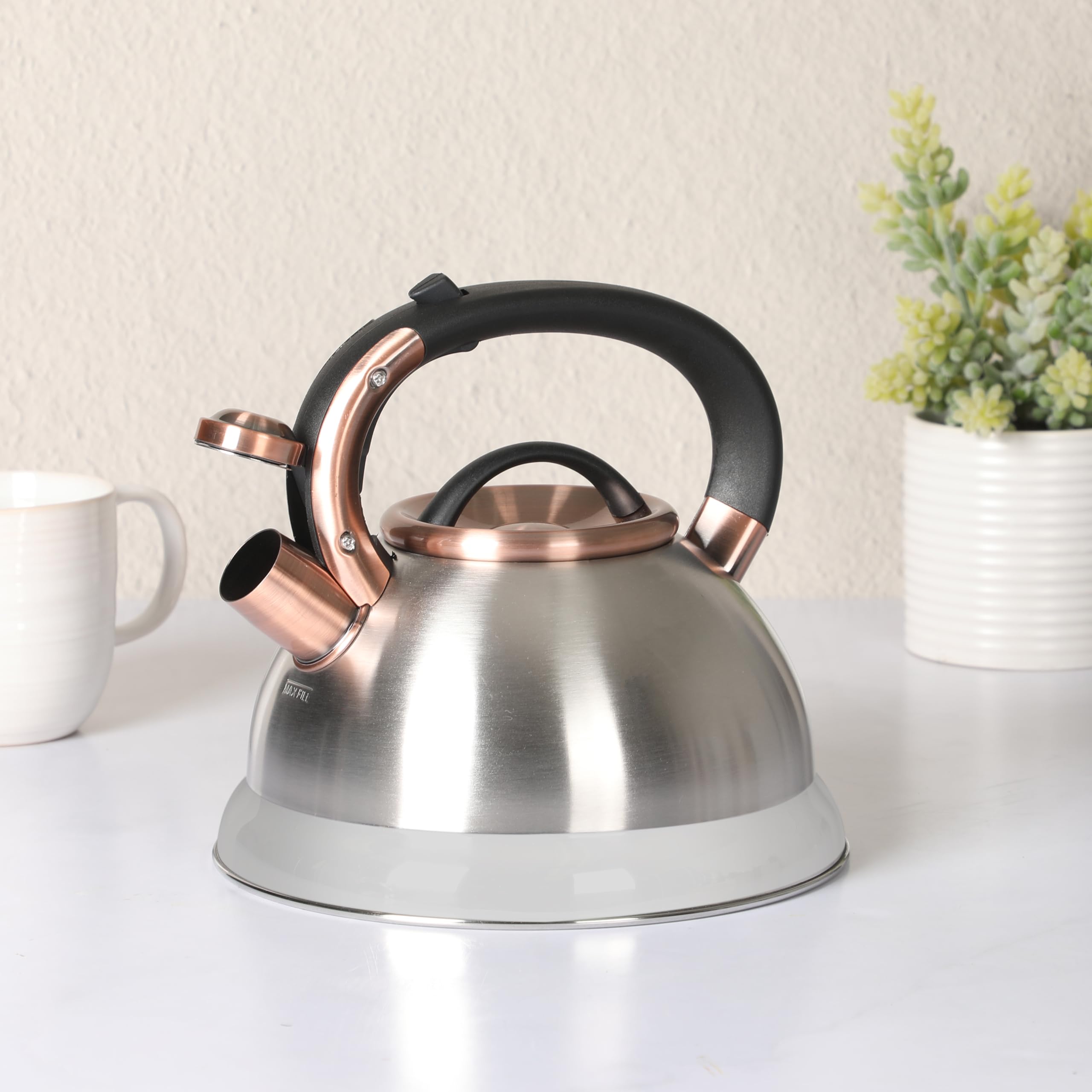 Mr. Coffee Flintshire 2.2-Quart Stainless Steel Whistling Stovetop Tea Kettle with Nylon Handle - Silver