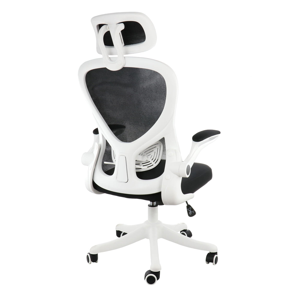 Elama white and black ergonomic mesh office chair, back three-quarter view showing the white frame and lumbar support