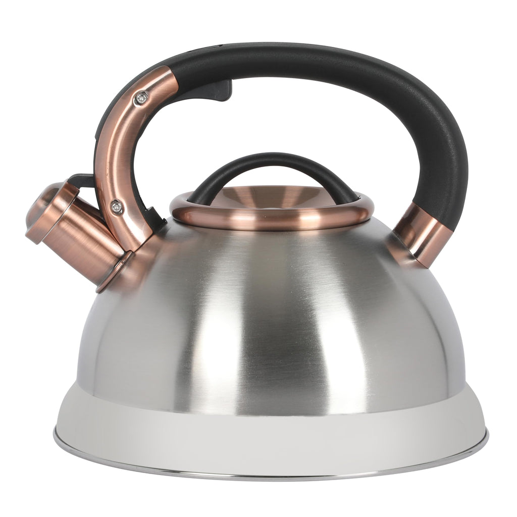Mr. Coffee Flintshire 2.2 Quart Stainless Steel Whistling Stovetop Tea Kettle in Silver