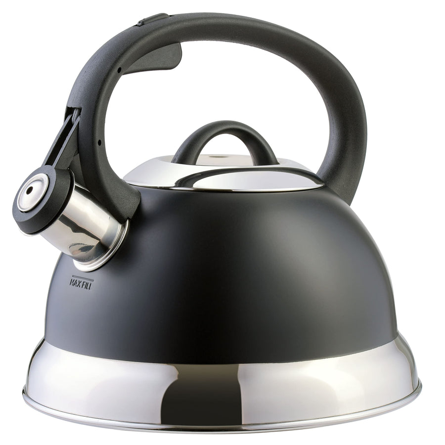 Mr. Coffee Flintshire 1.75-Quart Stainless Steel Whistling Tea Kettle, Matte Black