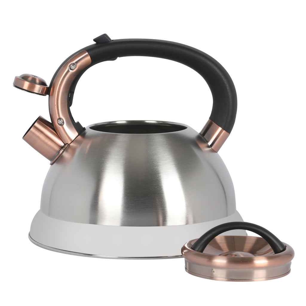 Mr. Coffee Flintshire 2.2-Quart Stainless Steel Whistling Stovetop Tea Kettle with Nylon Handle - Silver