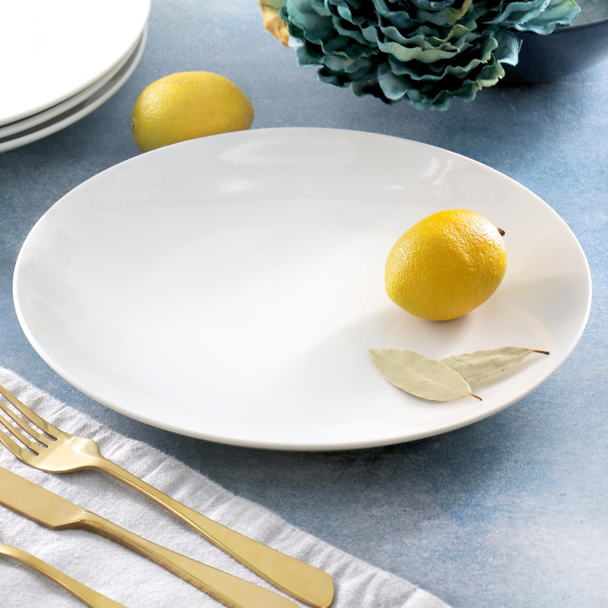 Elama Professional 12-Piece 10.5in Porcelain Dinner Plate Set, White