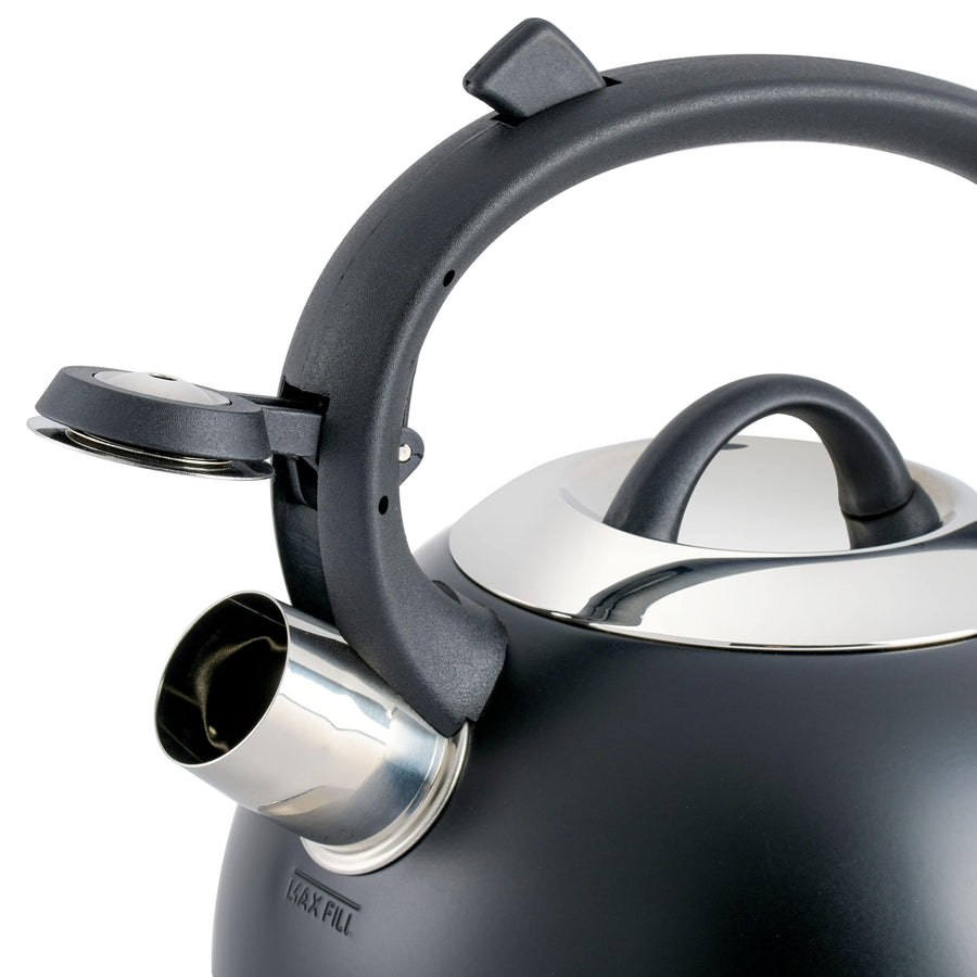 Mr. Coffee Flintshire 1.75-Quart Stainless Steel Whistling Tea Kettle, Matte Black