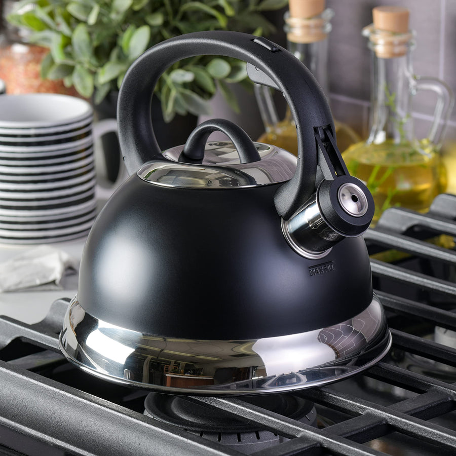 Mr. Coffee Flintshire 1.75-Quart Stainless Steel Whistling Tea Kettle, Matte Black