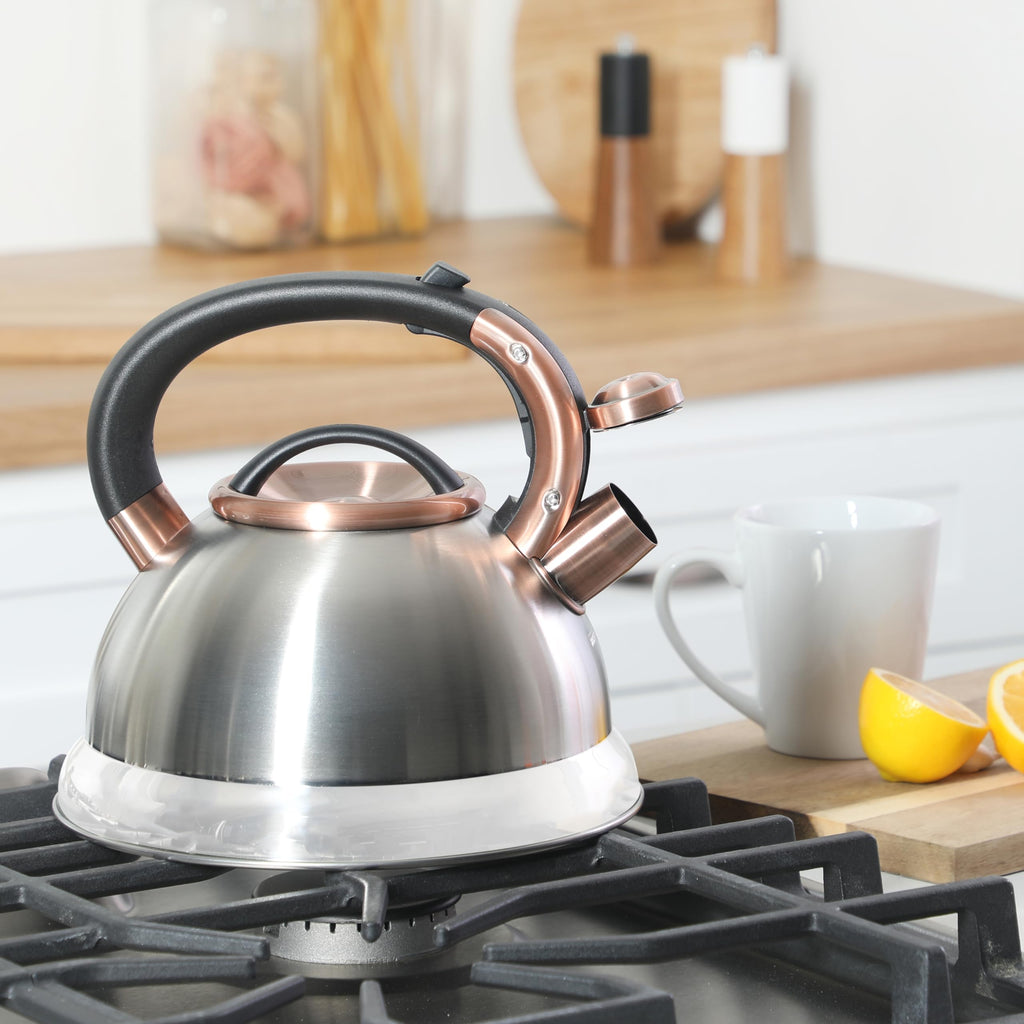 Mr. Coffee Flintshire 2.2-Quart Stainless Steel Whistling Stovetop Tea Kettle with Nylon Handle - Silver
