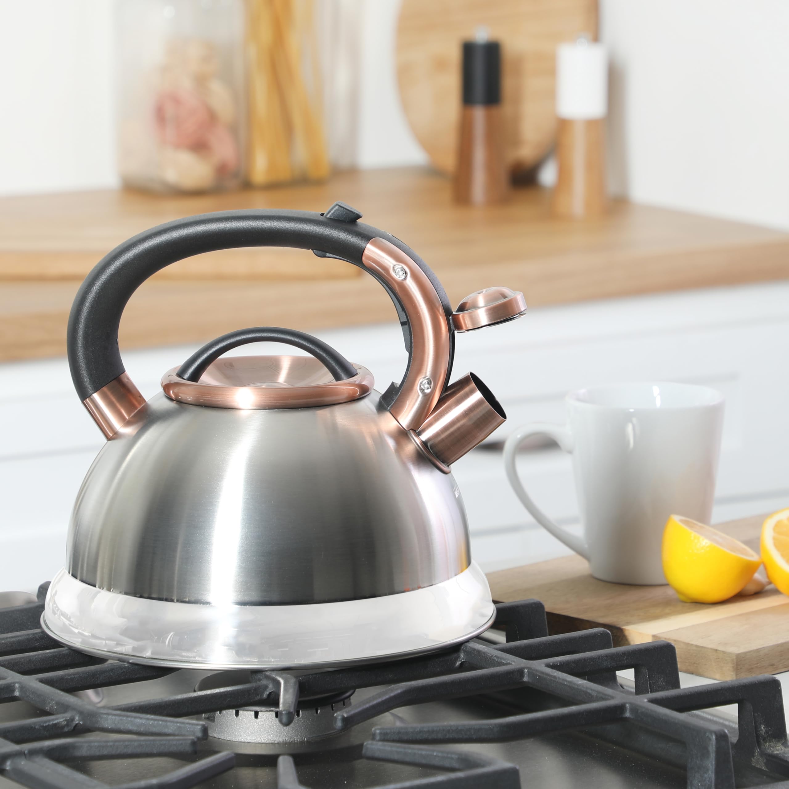 Mr. Coffee Flintshire 2.2-Quart Stainless Steel Whistling Stovetop Tea Kettle with Nylon Handle - Silver