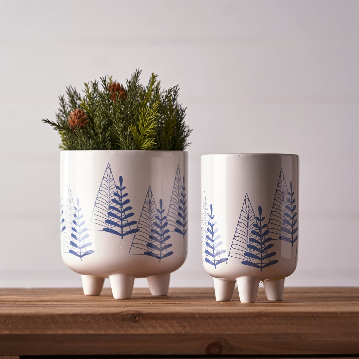 Pine Tree Planters product photo 2