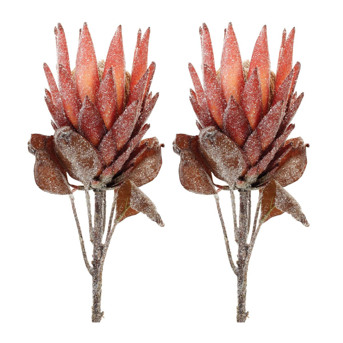 Red Protea Flower Stem Set of 2 product photo 3