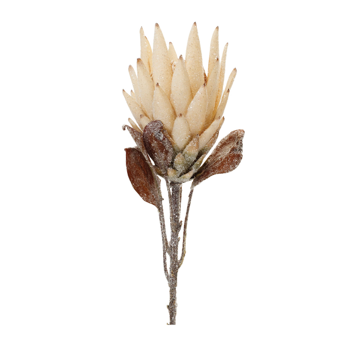 Beige Protea Flower Stem Set of 2
