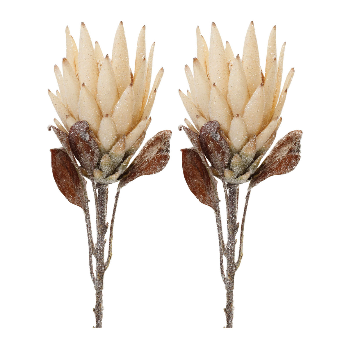 Beige Protea Flower Stem Set of 2 product photo 3