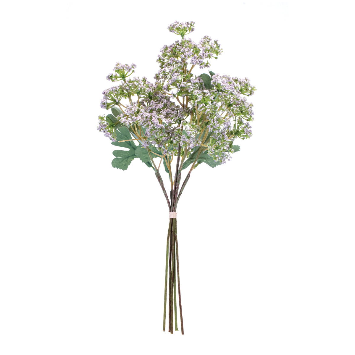 Purple Angelica Bundles product photo 2