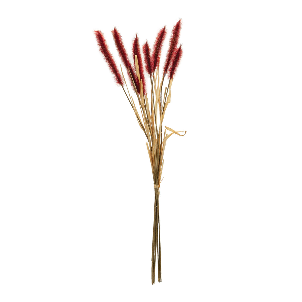 Fall Foxtail Grass Bundle (Set of 6)