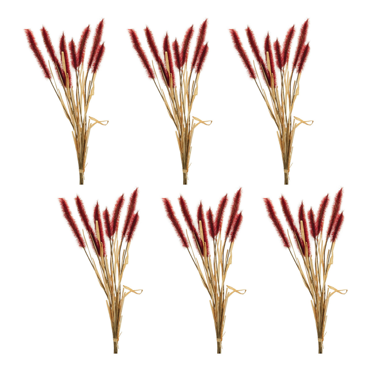 Fall Foxtail Grass Bundle (Set of 6)