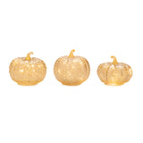 LED Mercury Glass Pumpkin Decor (Set of 3)