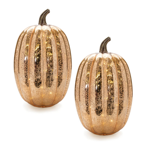 LED Mercury Glass Pumpkin Decor (Set of 2)