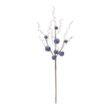 Blue Jingle Bell Stems, single stem full length view showing stem and spray height
