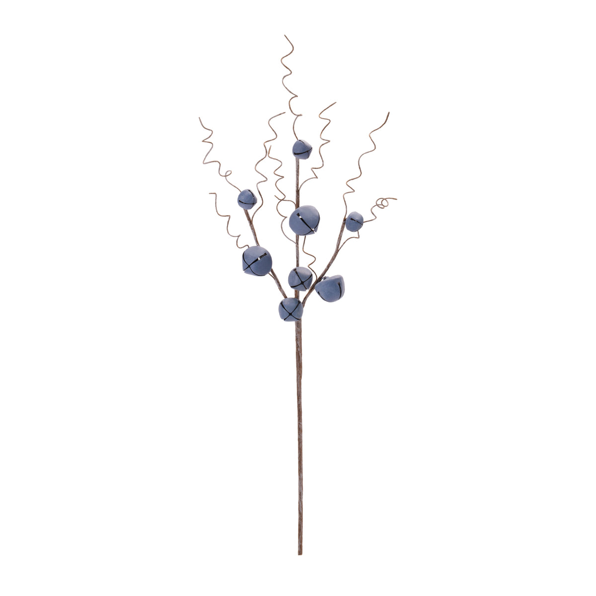 Blue Jingle Bell Stems, single stem full length view showing stem and spray height