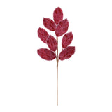 Red Beaded Magnolia Leaf Sprays, single stem full length view showing stem and spray height