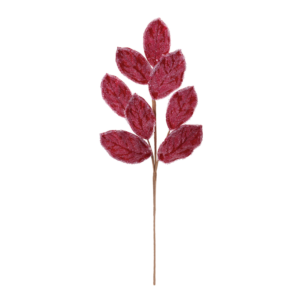 Red Beaded Magnolia Leaf Sprays, single stem full length view showing stem and spray height