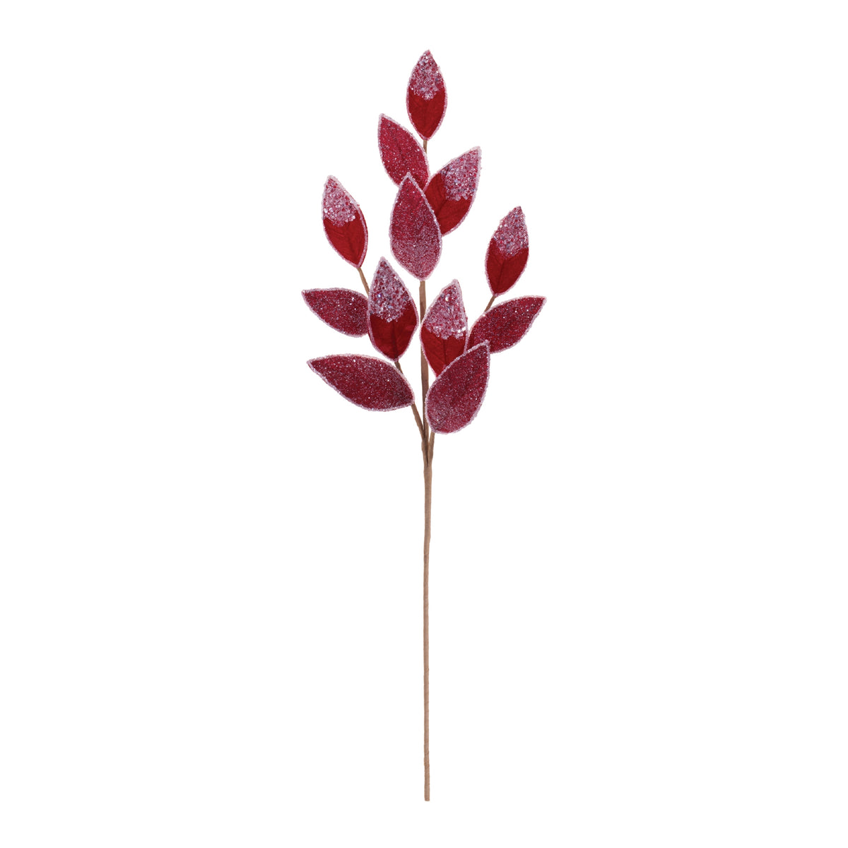 Red Beaded Leaf Sprays, single stem full length view showing stem and spray height