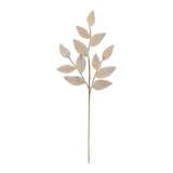 Cream Beaded Leaf Sprays, single stem full length view showing stem and spray height
