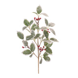 Set of 2 frosted holly leaf and red berry sprays on brown branching stems for Christmas decor