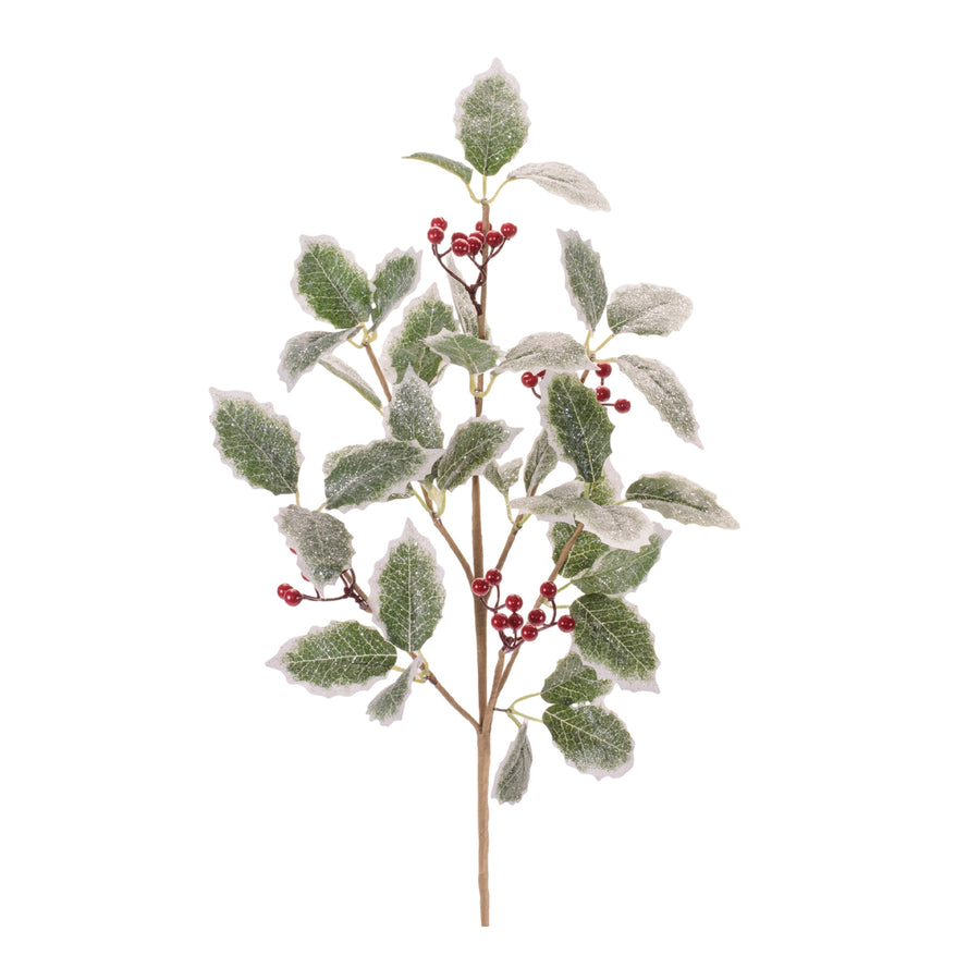 Set of 2 frosted holly leaf and red berry sprays on brown branching stems for Christmas decor