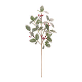 Frosted Holly Leaf and Berry Sprays, single stem full length view showing stem and spray height