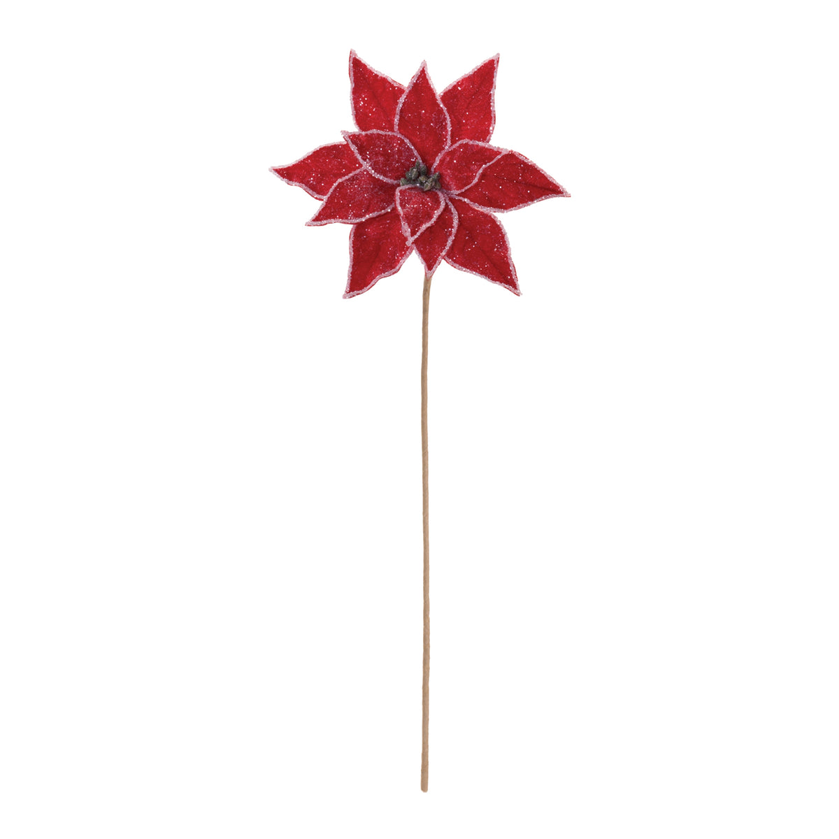Frosted Red Poinsettia Stems, single stem full length view showing stem and spray height