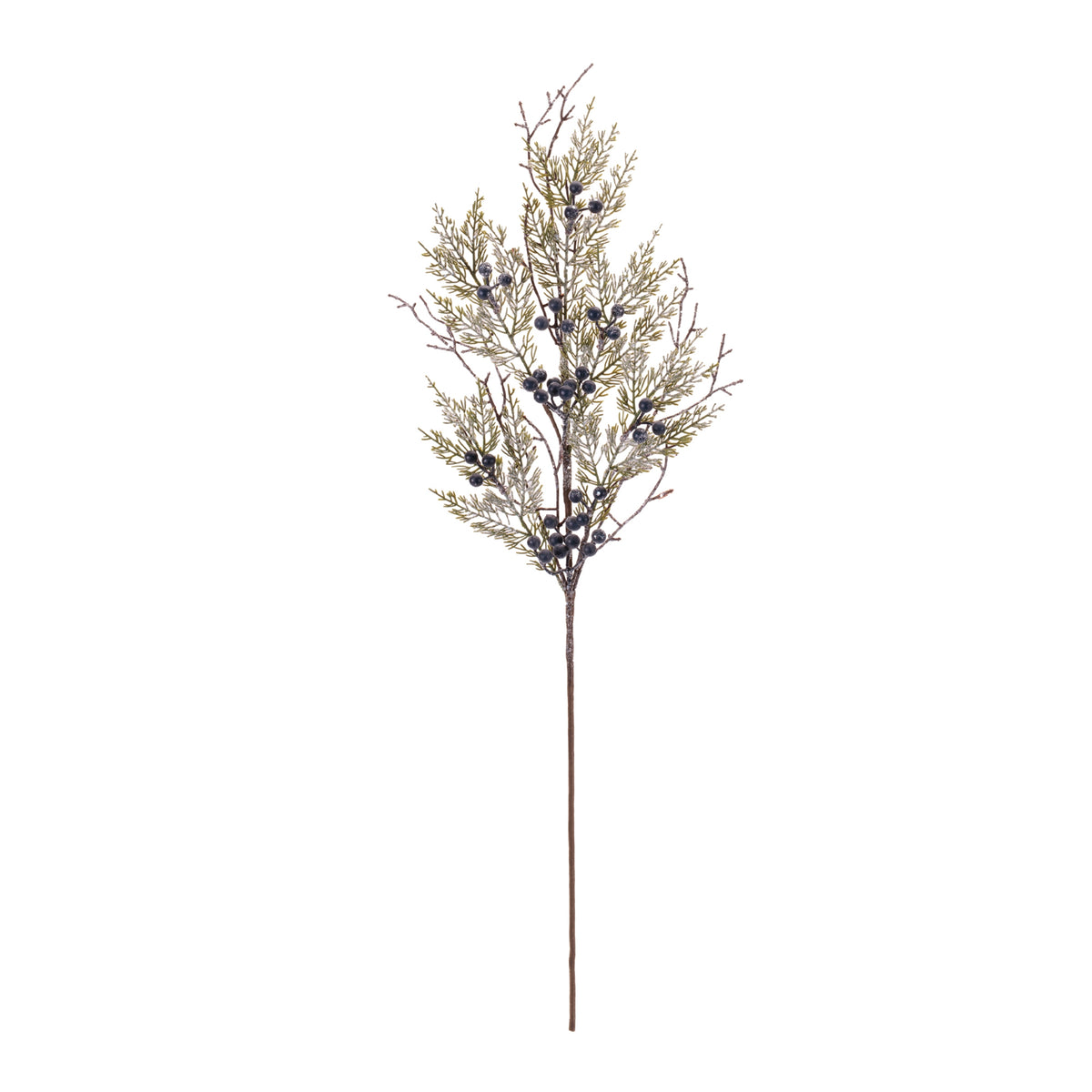 Snowy Juniper Sprays, single stem full length view showing stem and spray height