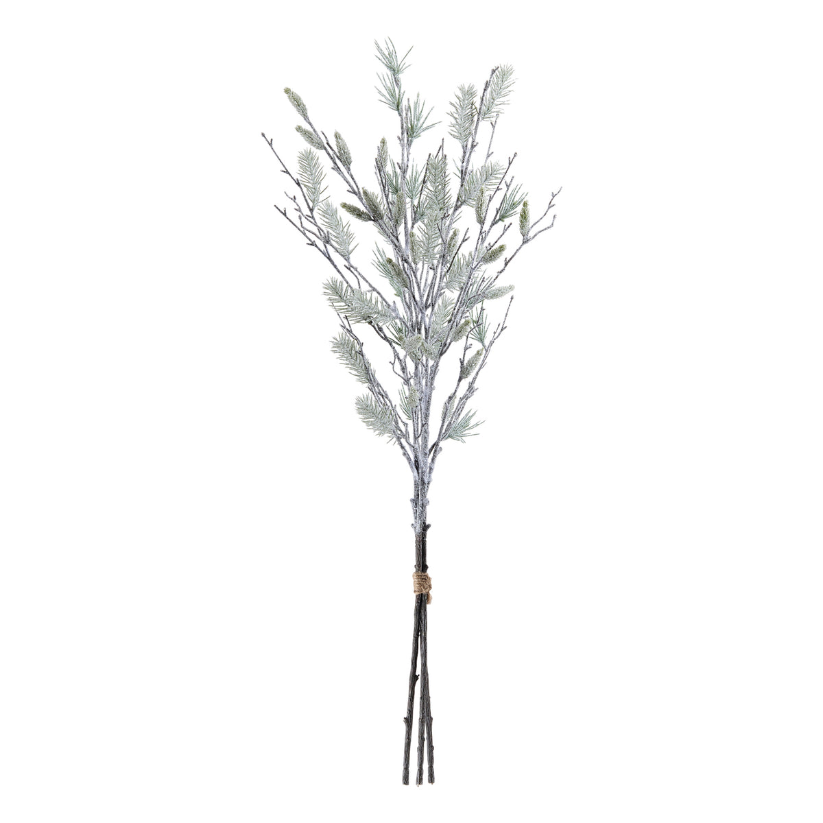 Snowy Oversized Pine Bundle, single stem full length view showing stem and spray height