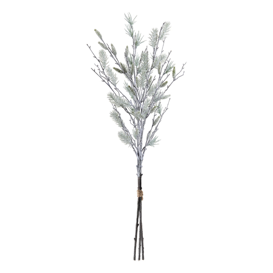 Snowy Oversized Pine Bundle, single stem full length view showing stem and spray height