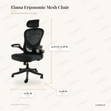 Elama Ergonomic Mesh Chair dimensions: 23.82 in W x 25.98 in D x 47.63 to 51.38 in H