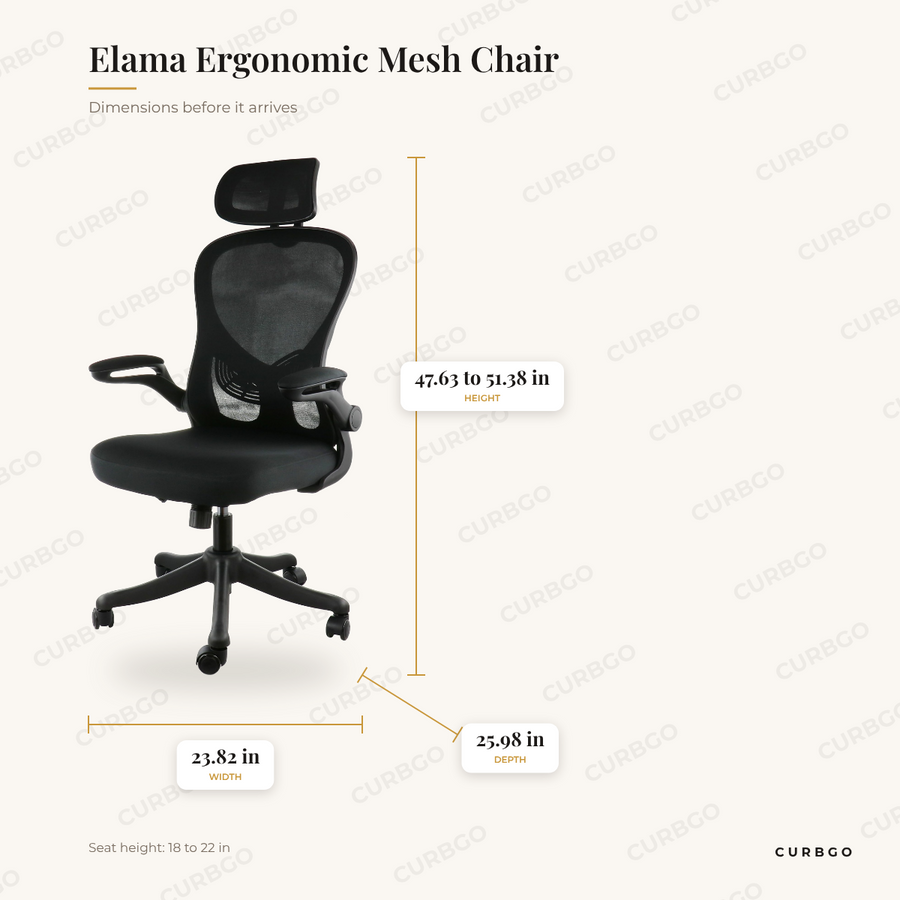 Elama Ergonomic Mesh Chair dimensions: 23.82 in W x 25.98 in D x 47.63 to 51.38 in H