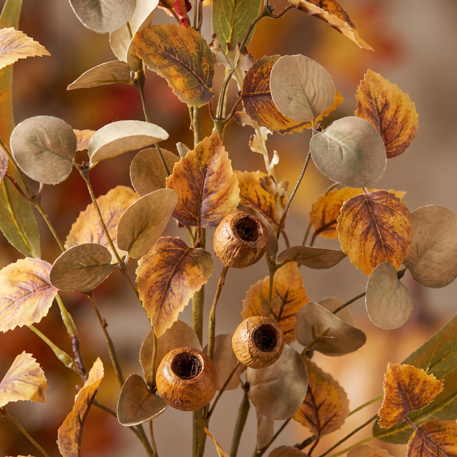 Macro of a fall foliage spray showing orange and green leaves and rustic seed pods
