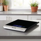 Taylor 3851 digital kitchen scale on a modern kitchen counter with a window and herbs behind