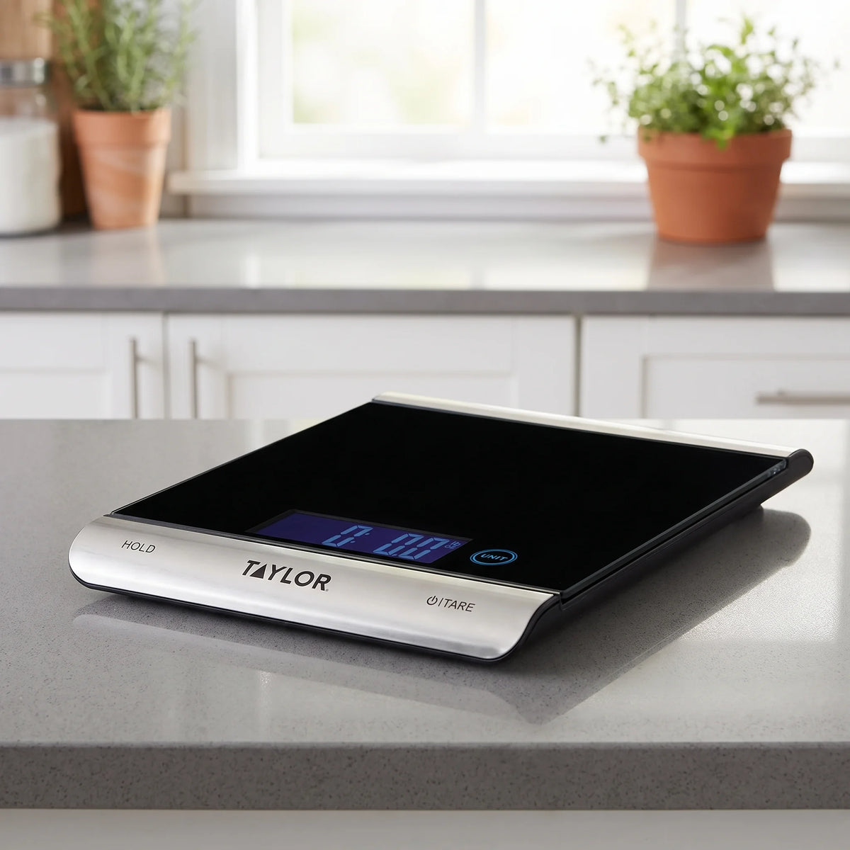 Taylor 3851 digital kitchen scale on a modern kitchen counter with a window and herbs behind