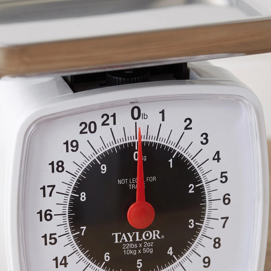 Close-up of the bold dial face and red needle on a Taylor 3880 analog kitchen scale