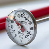 Close-up of the magnified 1 inch dial face and red needle on a Taylor 3512 instant read thermometer