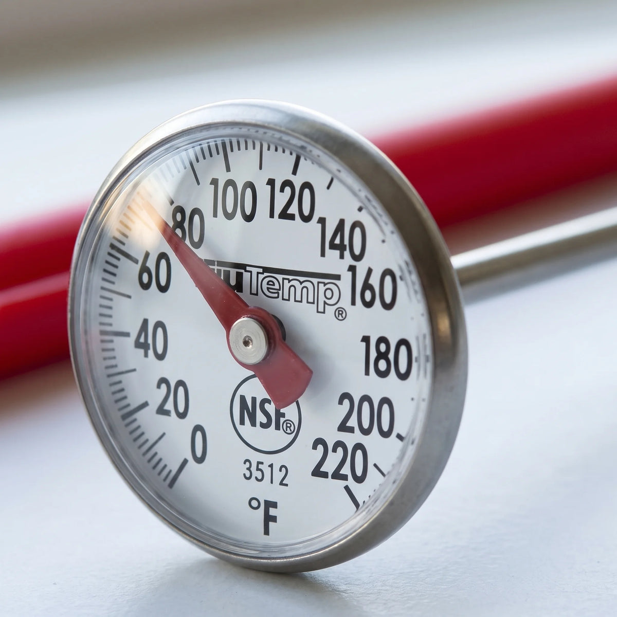 Close-up of the magnified 1 inch dial face and red needle on a Taylor 3512 instant read thermometer